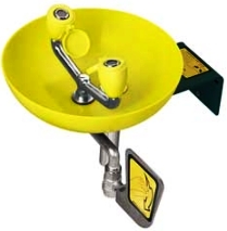 Speakman Eyesaver Wall Mounted Aerated Eyewash w/Plastic Bowl SE-580