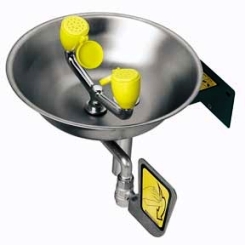 Speakman Wall Mounted Plumbed Eye/Face Wash with Stainless Steel Bowl SE-490