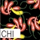 Chili Peppers Bandana