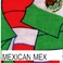 Mexican Flag Bandana
