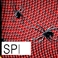 Spider Web Bandana