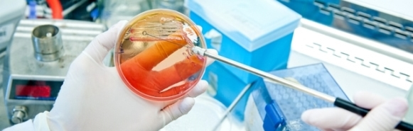 Bloodborne Pathogen Precautions Employers & Workers Should Take