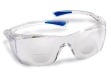 Radnor Readers Safety Glasses