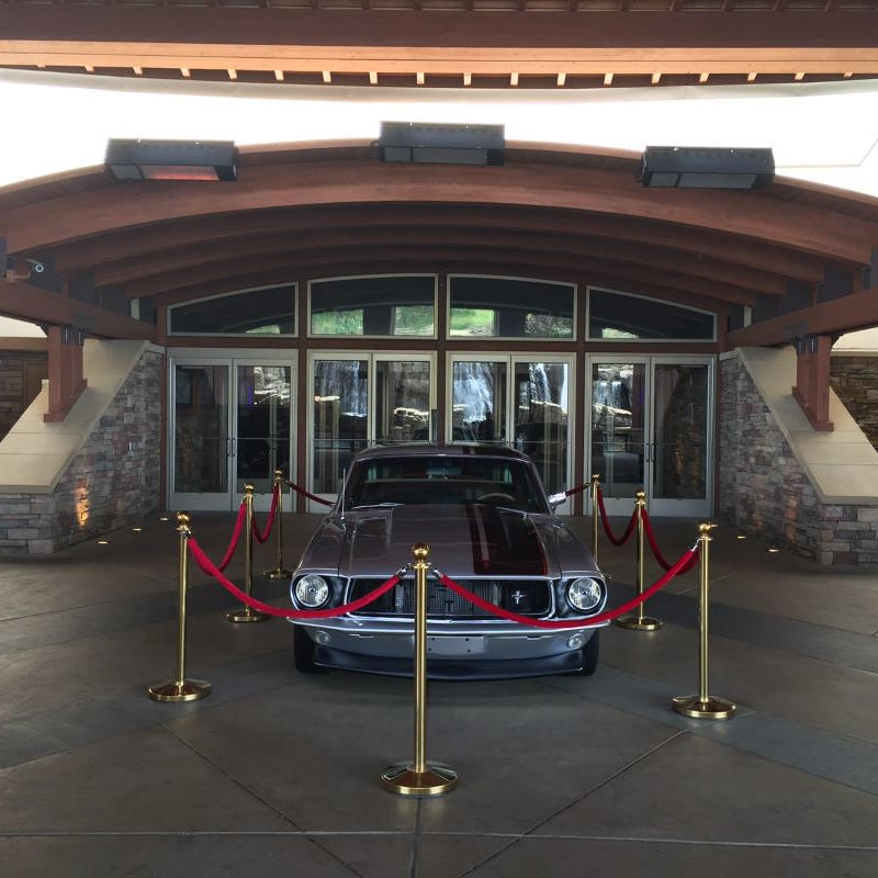 Schwank Bistro 2135 Liquid Propane Outdoor Patio Heater, 35,000