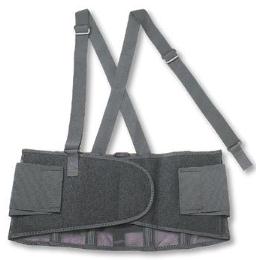 ProFlex 1650 Economy Elastic Back Supports