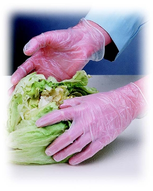 Disposable Vinyl Gloves - Latex Free Industrial, Food & Medical Gloves