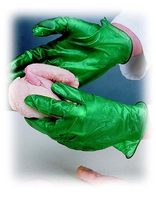 Disposable Vinyl Gloves - 5 & 6 Mil. Food Service & Processing Gloves