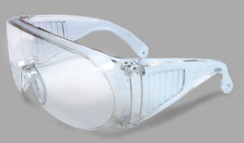 Radnor Visitor Safety Glasses