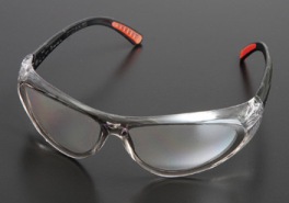 Radnor Action Safety Glasses